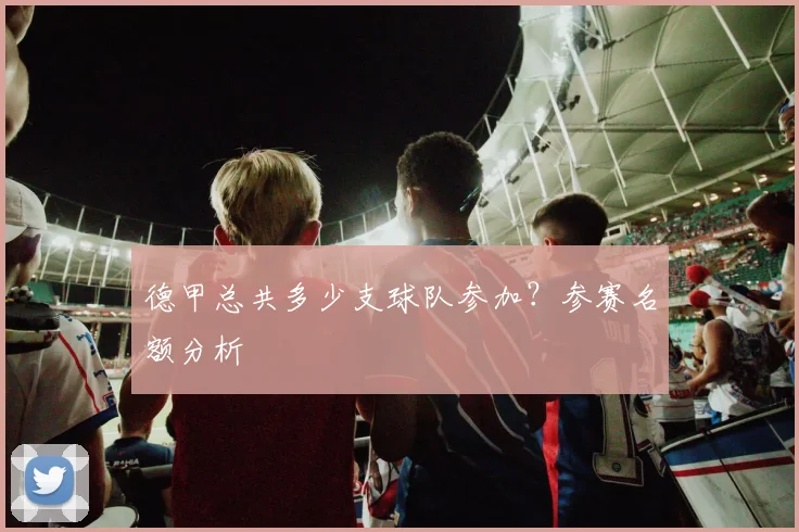 德甲总共多少支球队参加？参赛名额分析