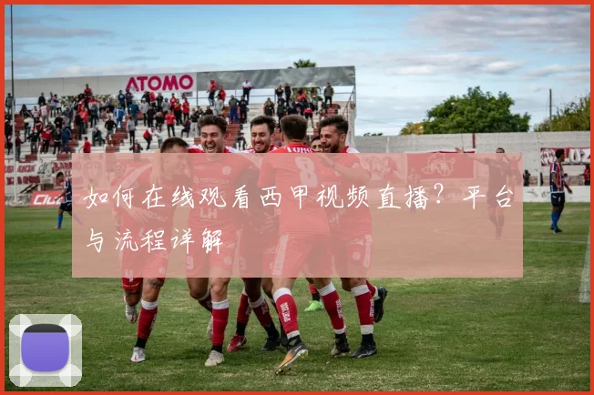 如何在线观看西甲视频直播？平台与流程详解