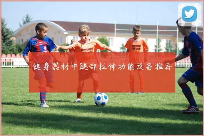 健身器材中腿部拉伸功能设备推荐