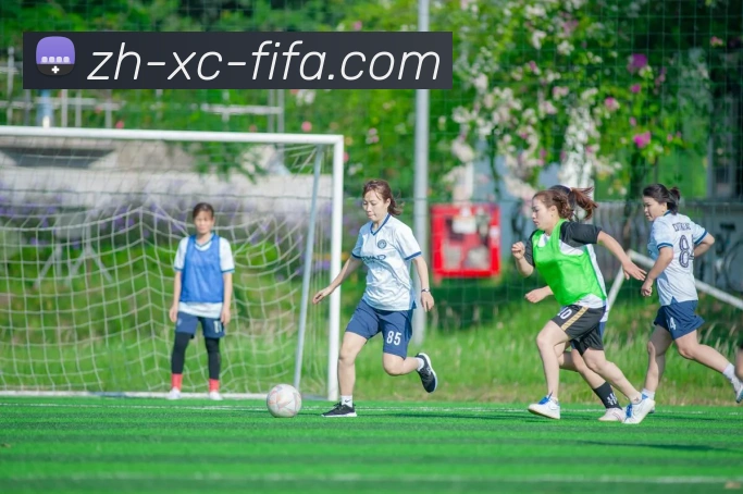 多媒体互动体验